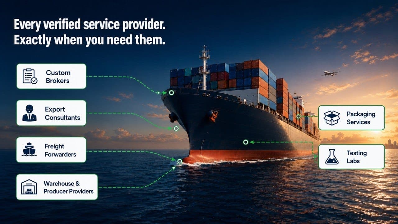 The verified service providers on Weporta at a glance: custom brokers, export consultants, freight forwarders, warehouse and producer providers, packaging services, and testing labs